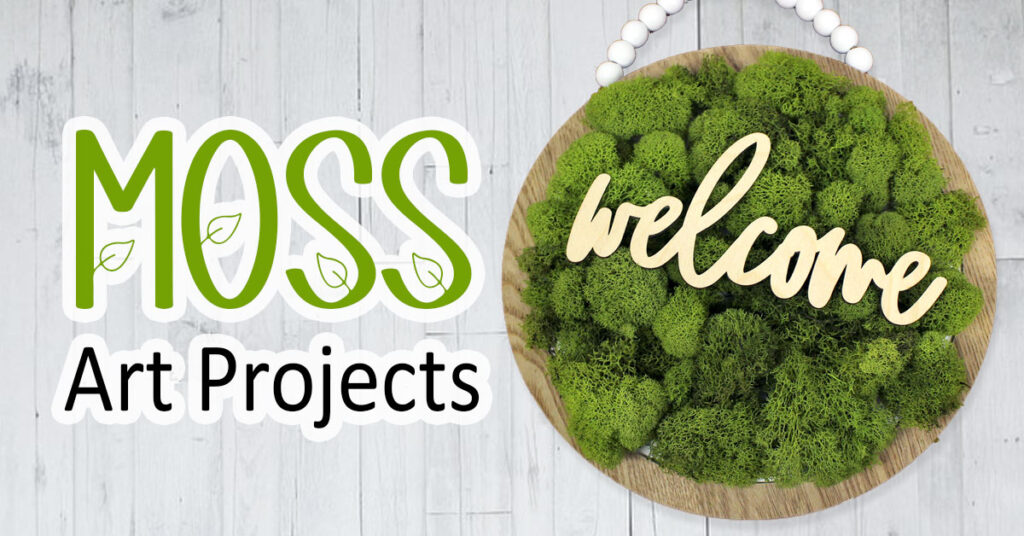 Moss Art Projects - Ben Franklin Crafts and Frame Shop